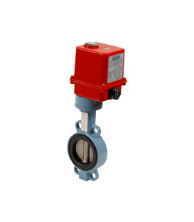 1153 - Ductile iron butterfly valve