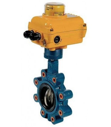 1133 - Cast iron butterfly valve SA05 NA09