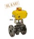 768 - Split body carbon steel flanged ball valve SA05