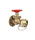 FB-06-001 firehydrant