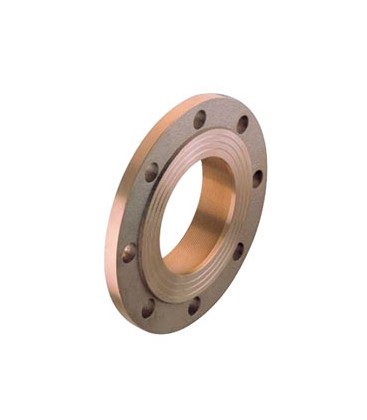 1350 - PN6 / PN16 flange with female thread
