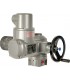 SA - Multi-turn electric actuator for rotating rising stem linear valves
