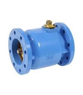 BFF - Coaxial cast iron valve