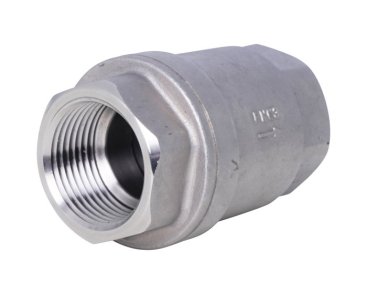 Stainless steel spring check valve FKM seat 3292 BSP