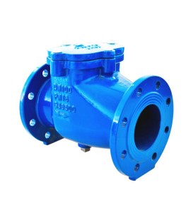 Ductile iron check valve 357 - EPDM swing plate - PN16