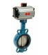 1123 - Cast iron butterfly valve double acting