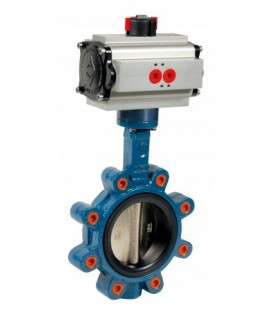 1135 - Cast iron butterfly valve lug type double acting