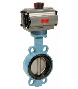 1153 -  Ductile iron butterfly valve