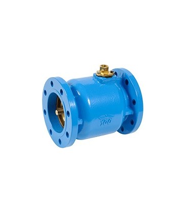 292050 - BFF - Coaxial cast iron valve