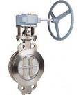 Double offset butterfly valves