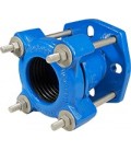 Water supply & distribution network fittings